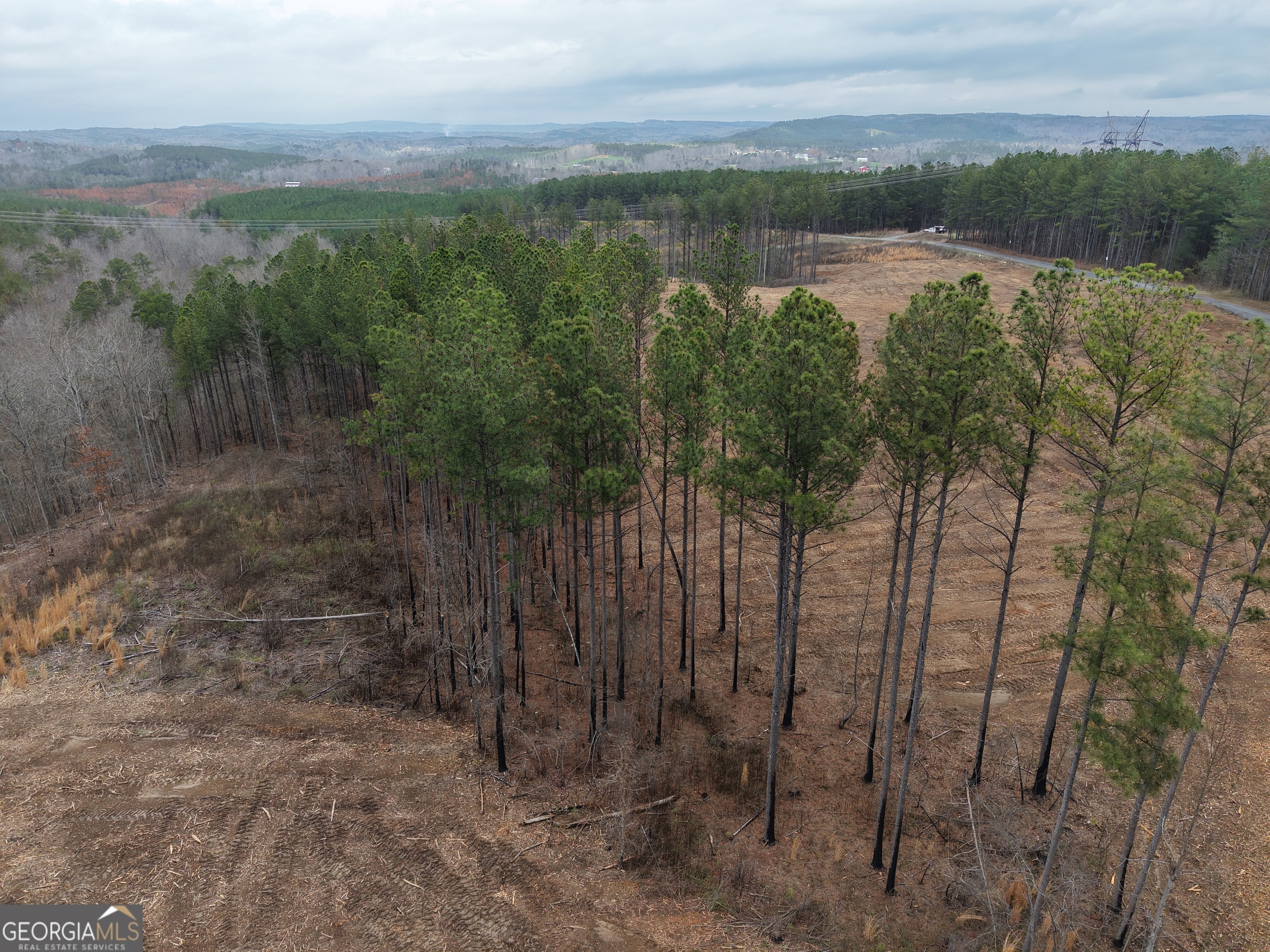 0 Johnson Mountain Road, Unit 7401E Fairmount, GA 30139 - Photo 27 of 53