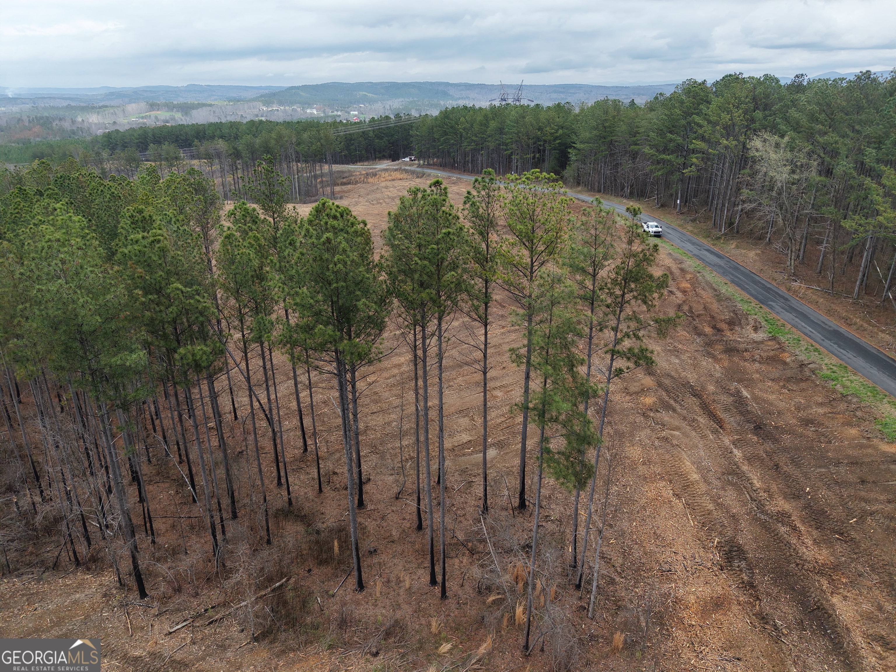 0 Johnson Mountain Road, Unit 7401E Fairmount, GA 30139 - Photo 29 of 53 a view of a lake with a mountain in the background