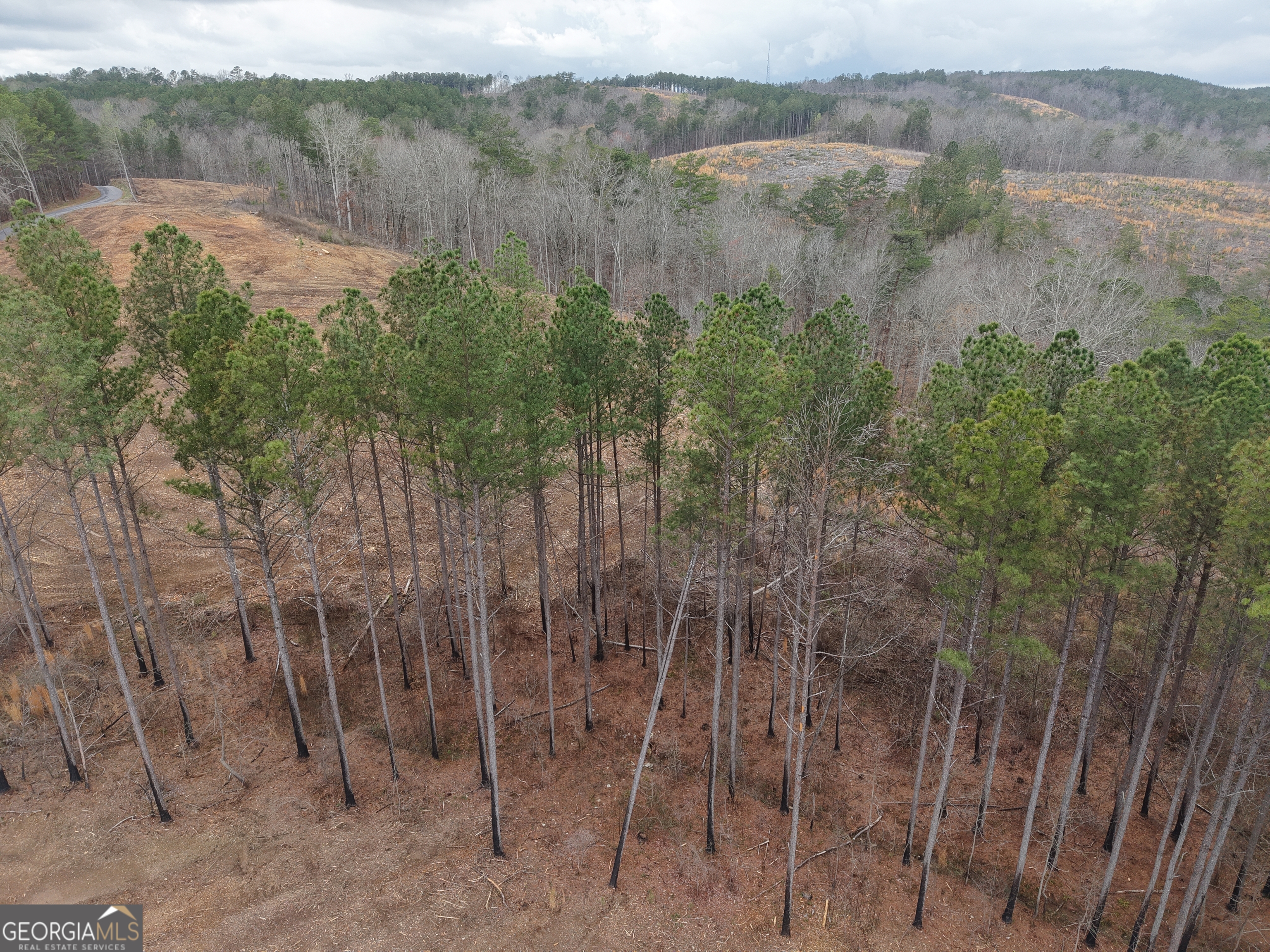0 Johnson Mountain Road, Unit 7401E Fairmount, GA 30139 - Photo 3 of 53 a view of lake with green space