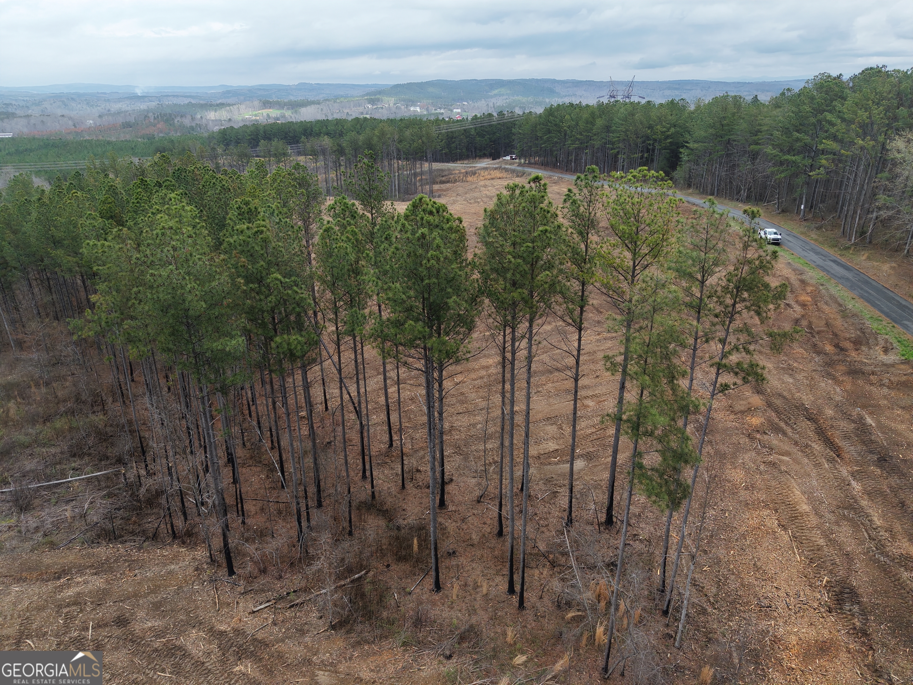 0 Johnson Mountain Road, Unit 7401E Fairmount, GA 30139 - Photo 31 of 53 a view of a lake with a mountain in the background