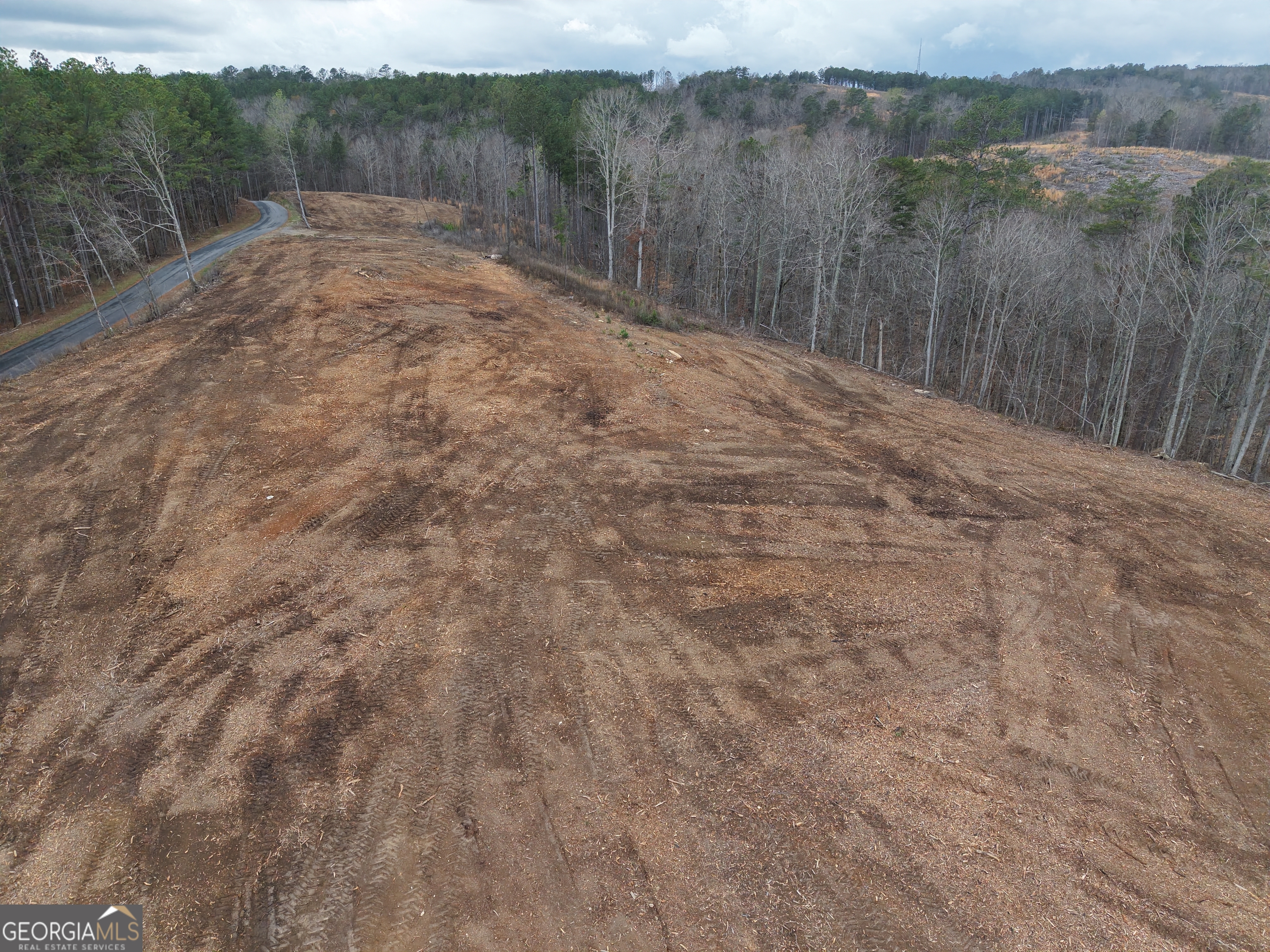 0 Johnson Mountain Road, Unit 7401E Fairmount, GA 30139 - Photo 33 of 53 a view of a dry yard with green space