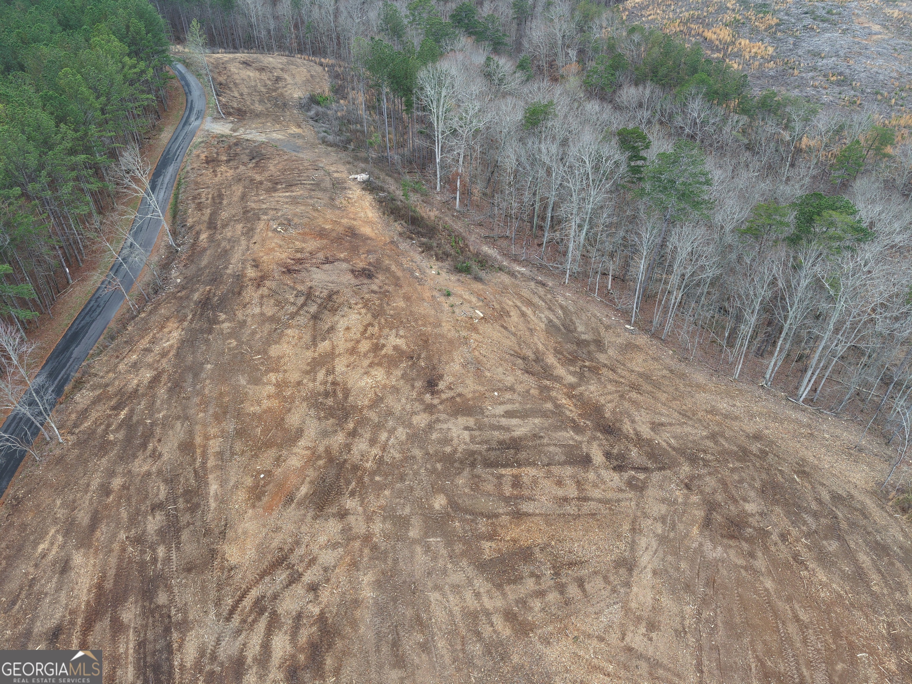 0 Johnson Mountain Road, Unit 7401E Fairmount, GA 30139 - Photo 35 of 53 a view of a yard with a wooden wall