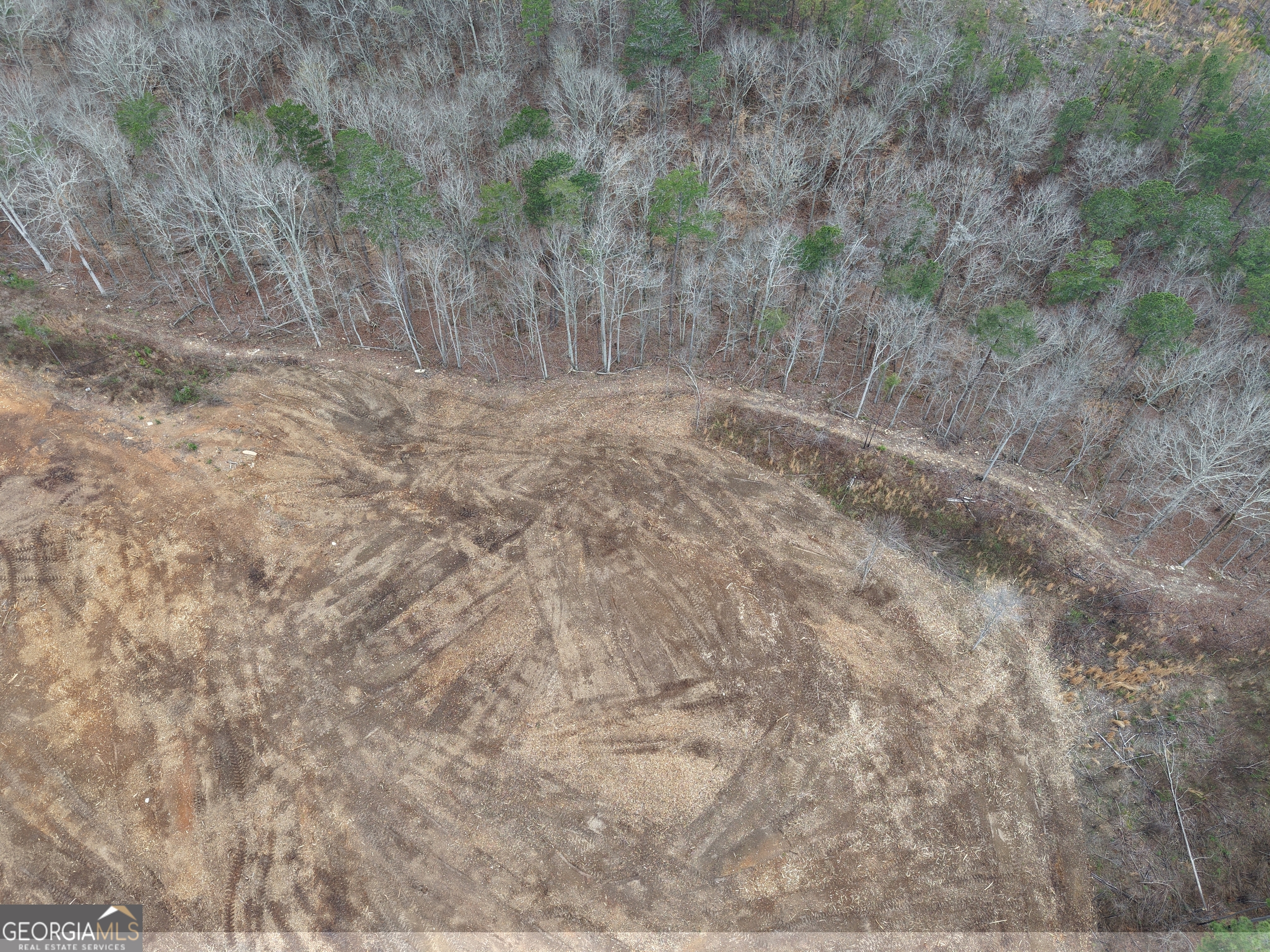 0 Johnson Mountain Road, Unit 7401E Fairmount, GA 30139 - Photo 37 of 53 a view of a dry yard with trees