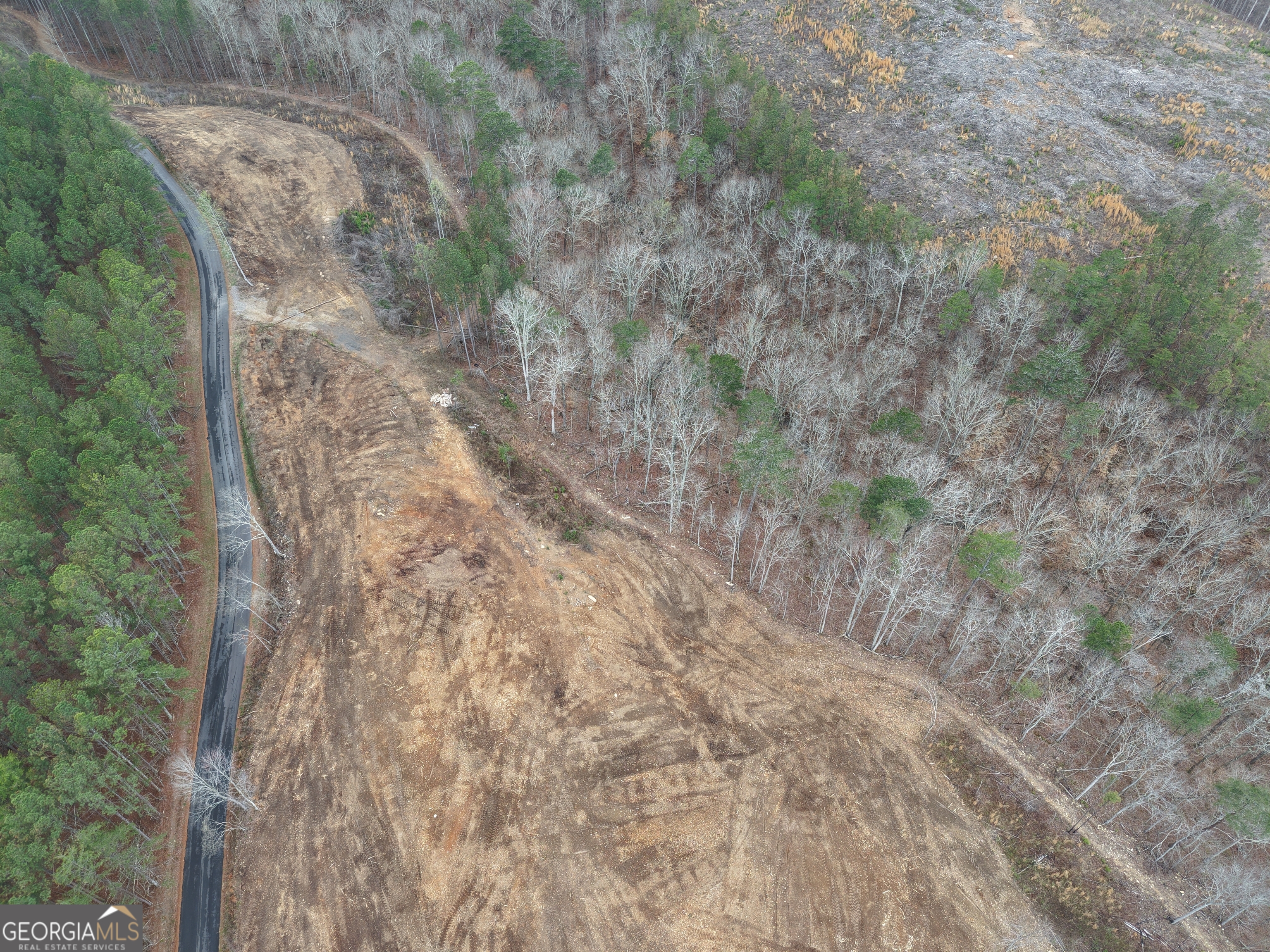 0 Johnson Mountain Road, Unit 7401E Fairmount, GA 30139 - Photo 39 of 53