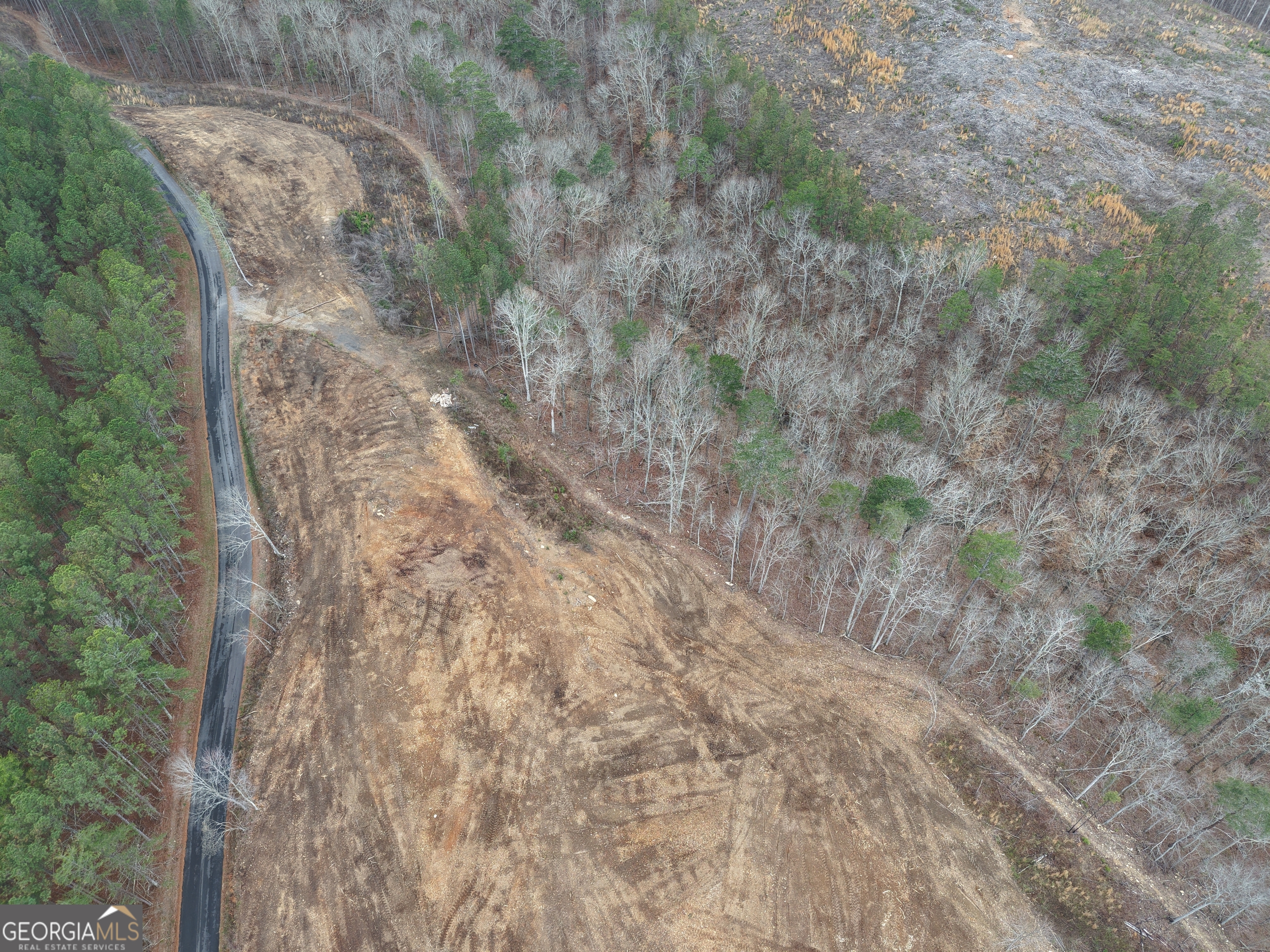 0 Johnson Mountain Road, Unit 7401E Fairmount, GA 30139 - Photo 41 of 53