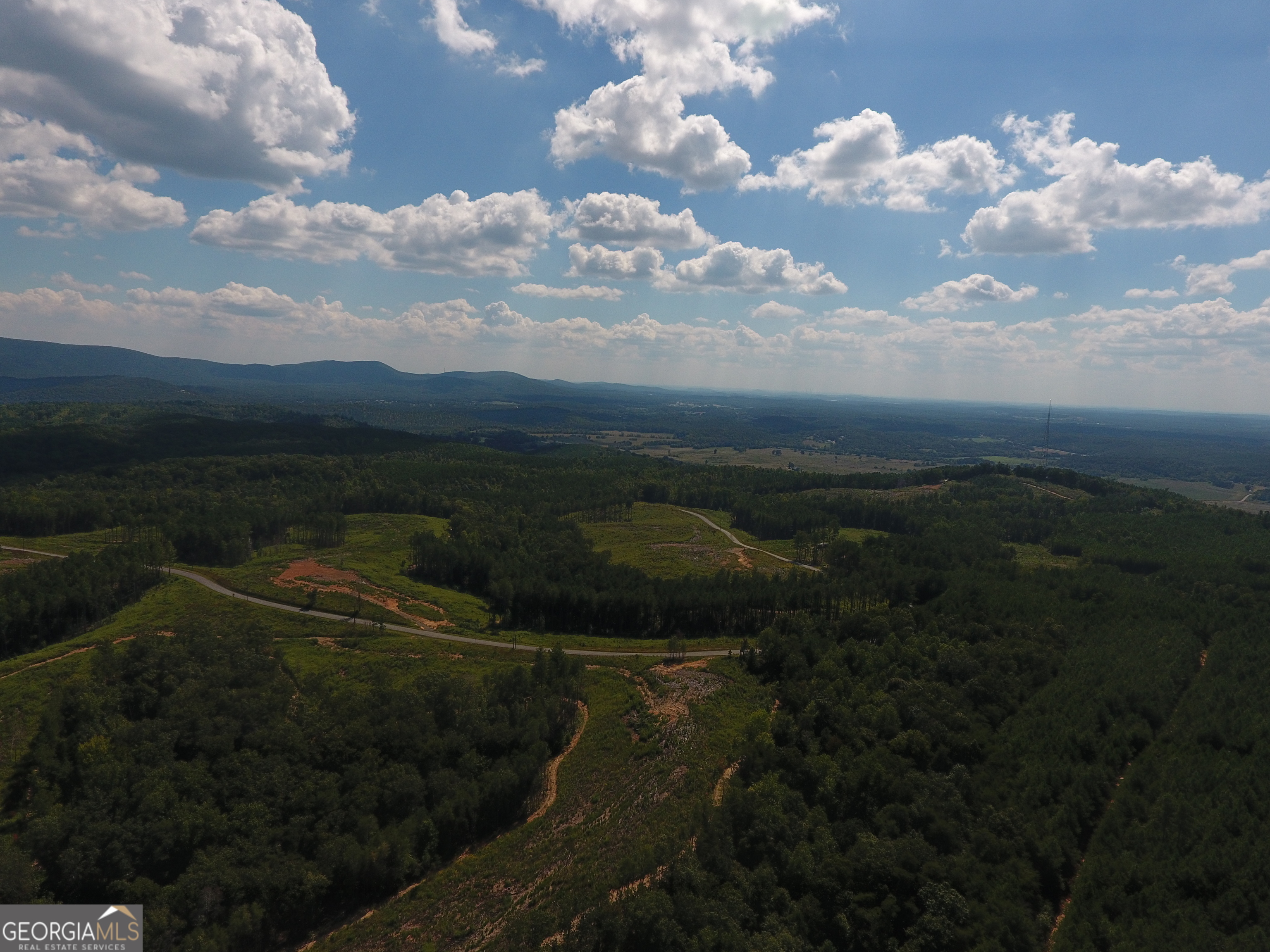 0 Johnson Mountain Road, Unit 7401E Fairmount, GA 30139 - Photo 48 of 53