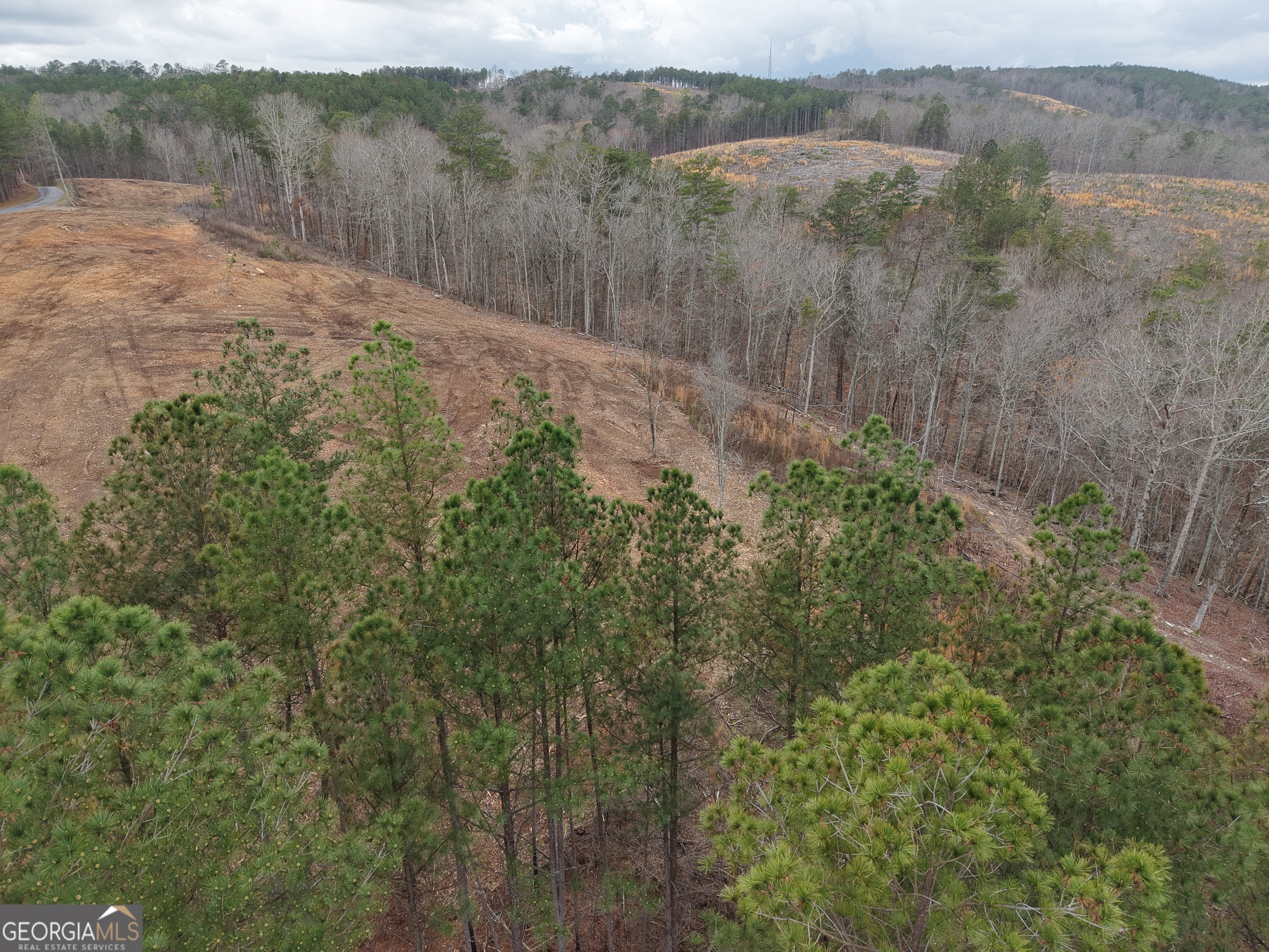 0 Johnson Mountain Road, Unit 7401E Fairmount, GA 30139 - Photo 5 of 53