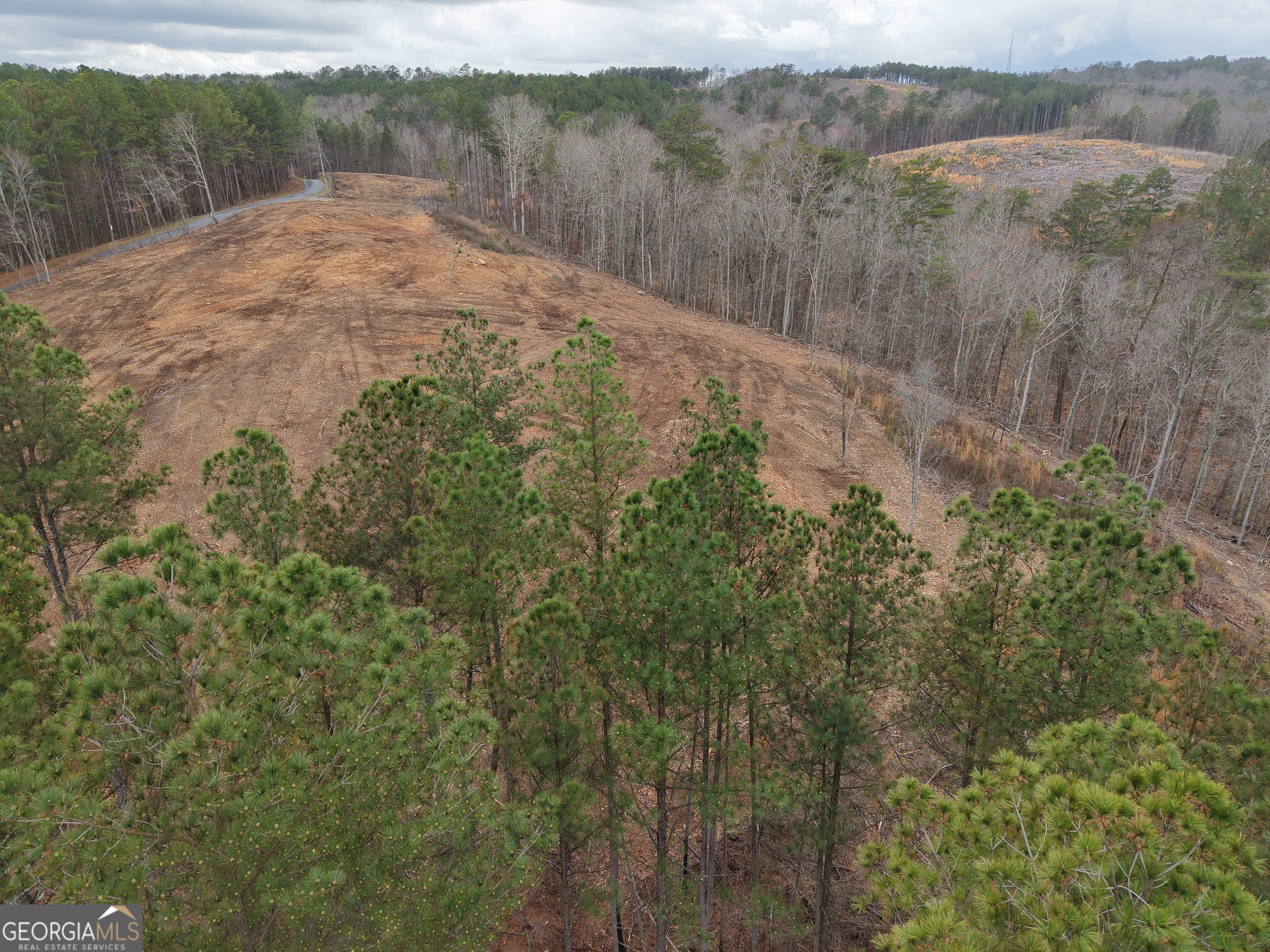 0 Johnson Mountain Road, Unit 7401E Fairmount, GA 30139 - Photo 7 of 53