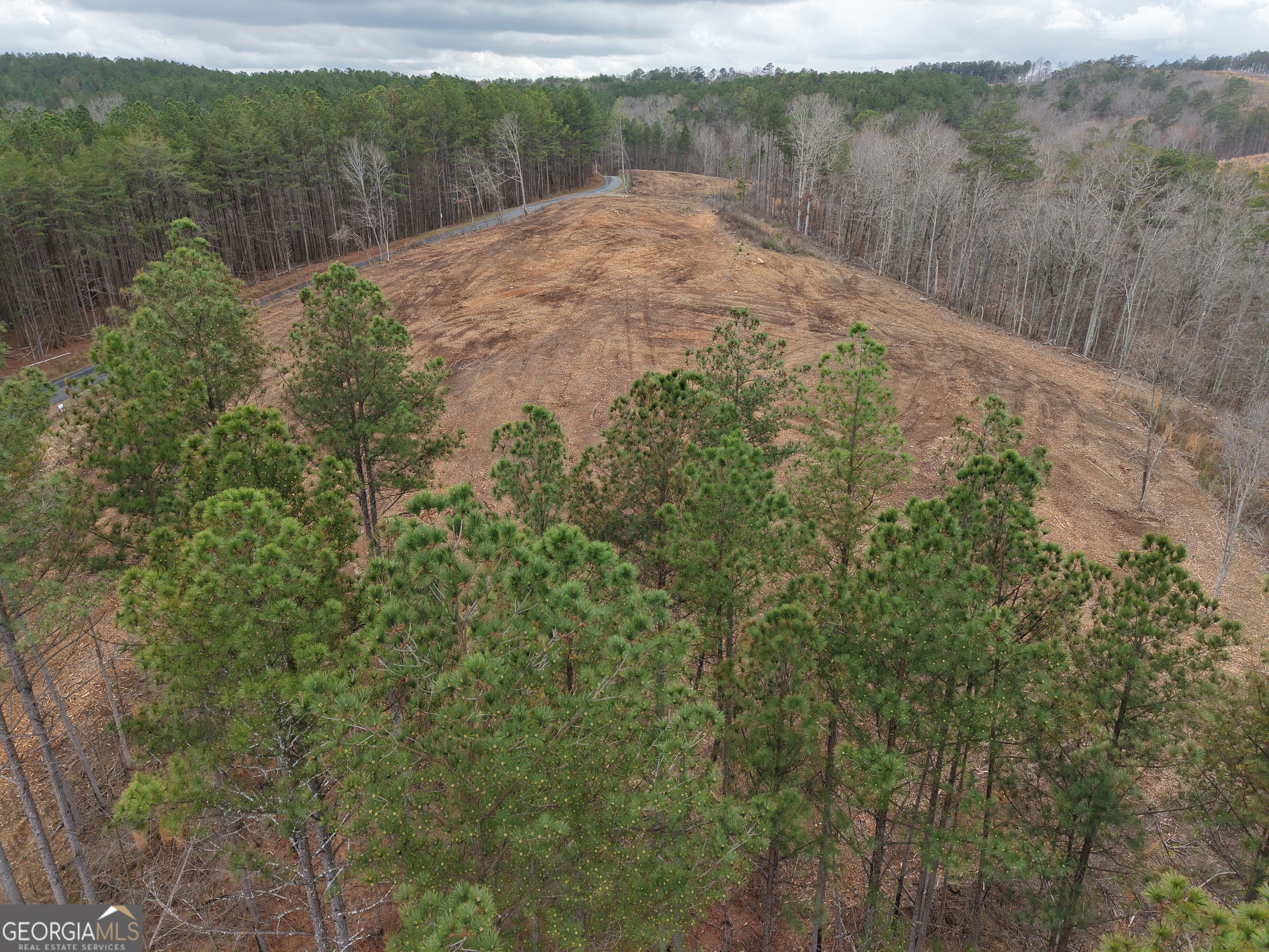 0 Johnson Mountain Road, Unit 7401E Fairmount, GA 30139 - Photo 9 of 53 a view of a forest with a forest
