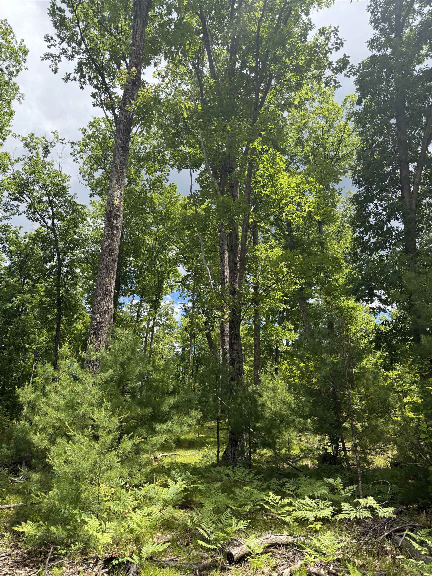 Lot 8 Rhett Lane, Unit 8 Wausaukee, WI 54177 - Photo 8 of 16