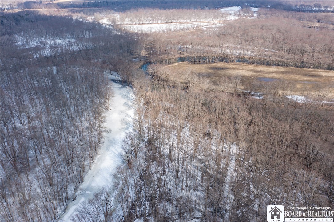 0 Dolloff Road Frewsburg, NY 14738 - Photo 11 of 14