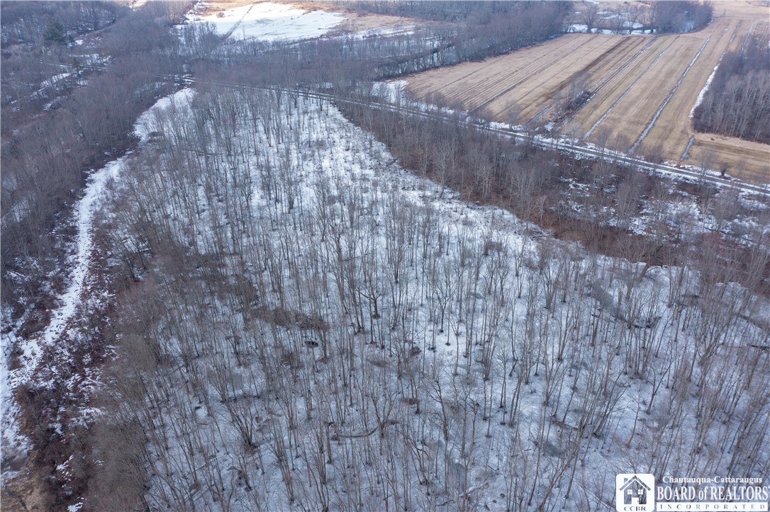 0 Dolloff Road Frewsburg, NY 14738 - Photo 12 of 14