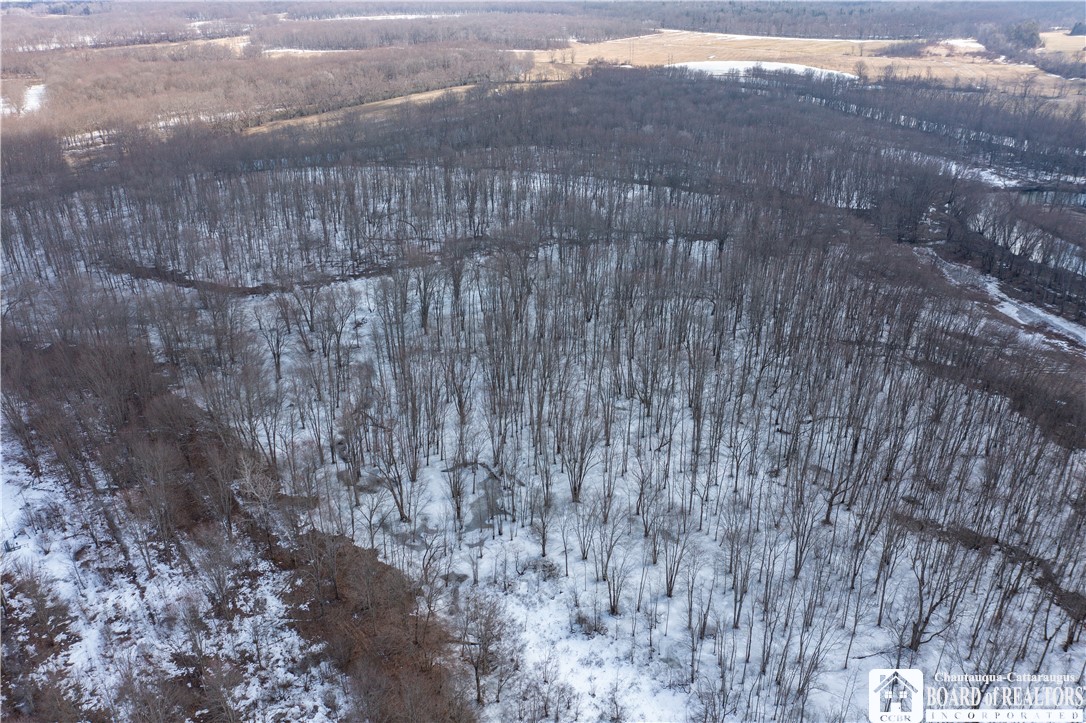 0 Dolloff Road Frewsburg, NY 14738 - Photo 3 of 14