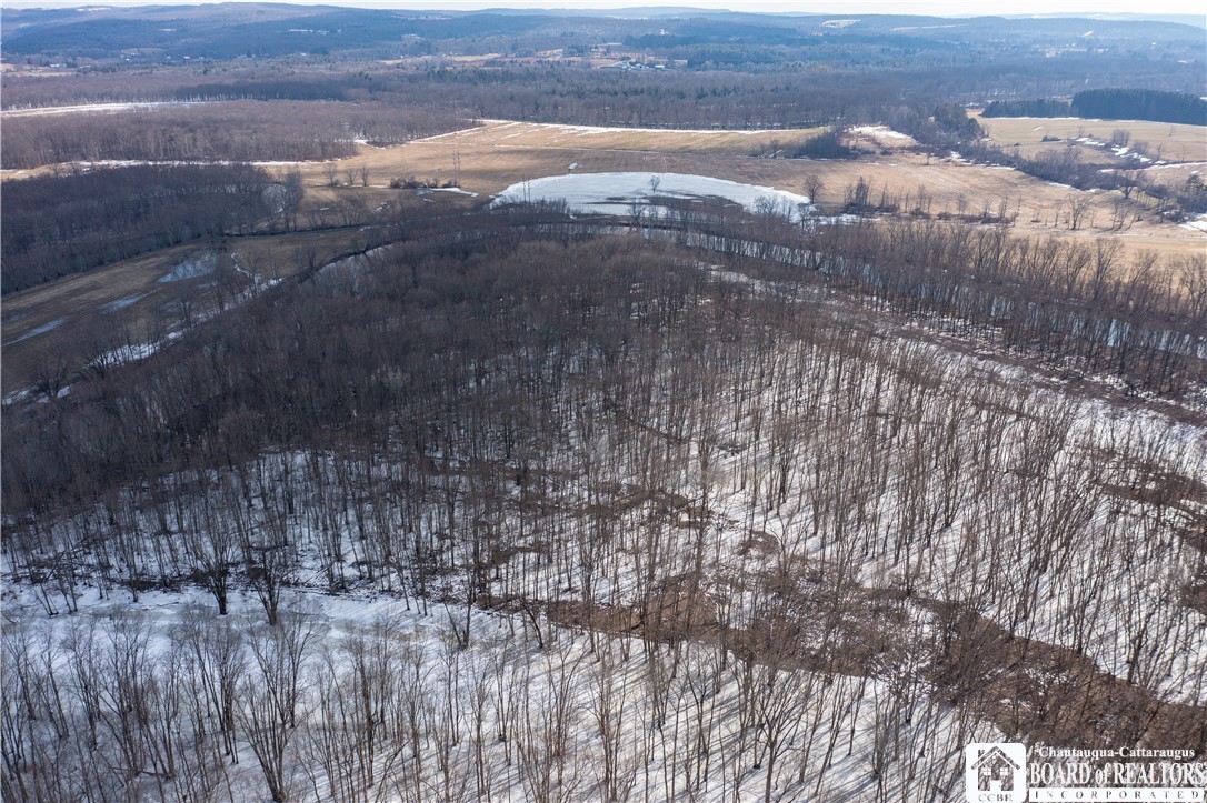 0 Dolloff Road Frewsburg, NY 14738 - Photo 5 of 14