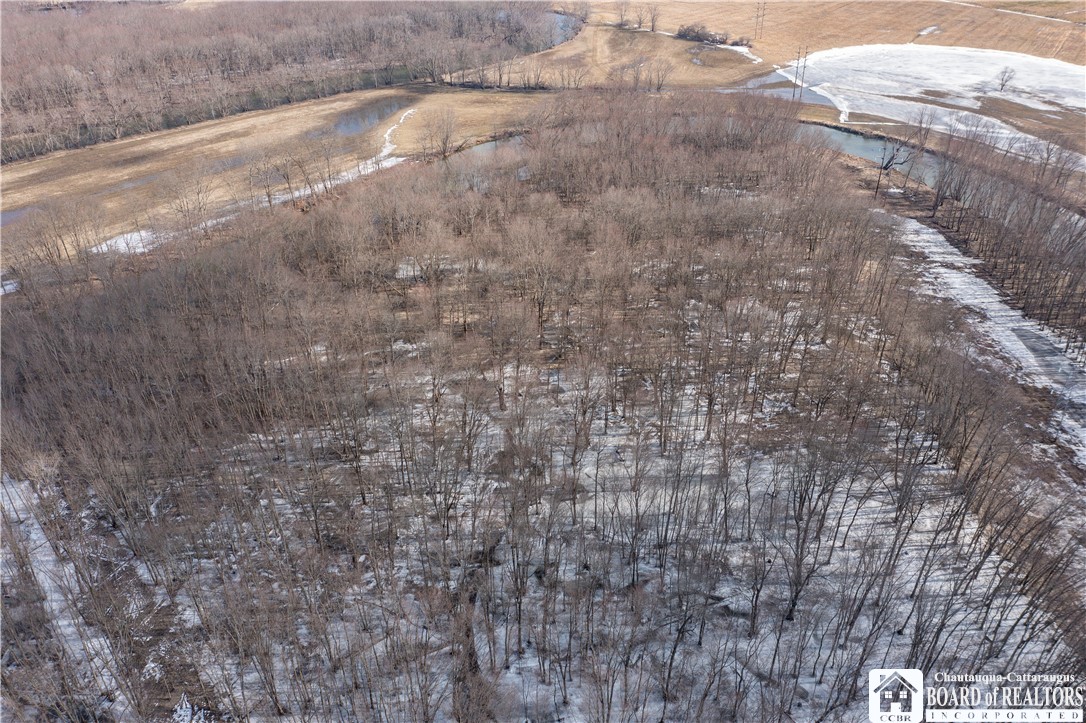 0 Dolloff Road Frewsburg, NY 14738 - Photo 10 of 14