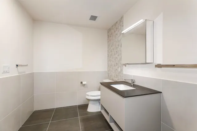 a bathroom with a sink toilet and vanity