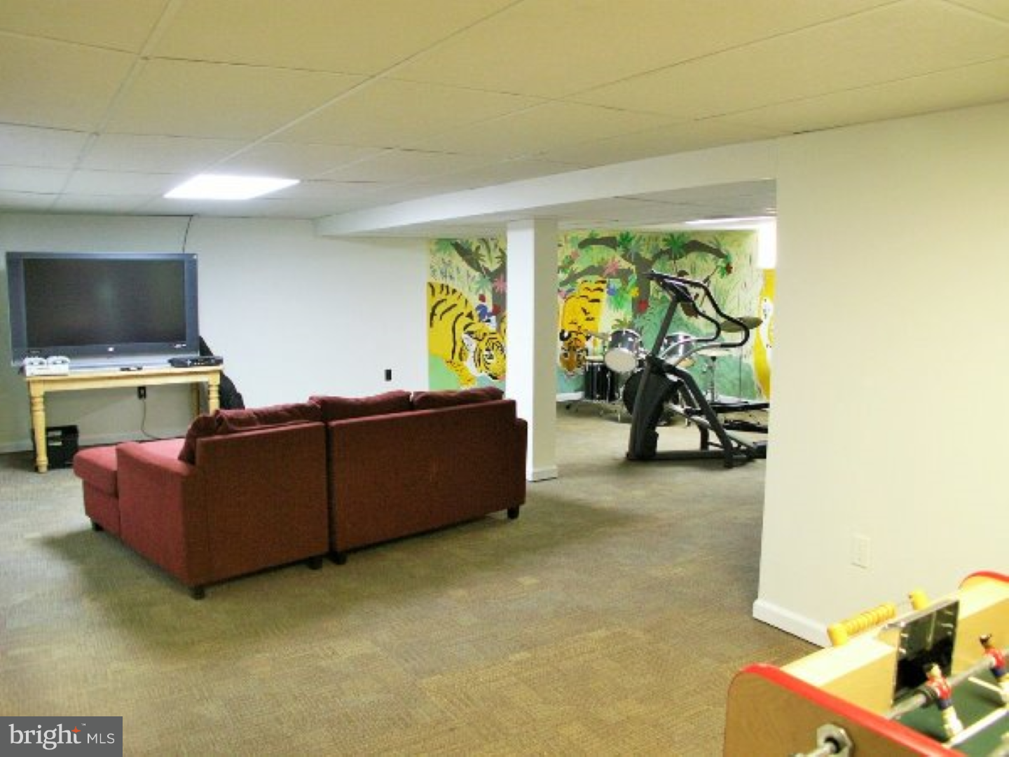 170 Steeplechase Road Devon, PA 19333 - Photo 22 of 22 Basement - Finished