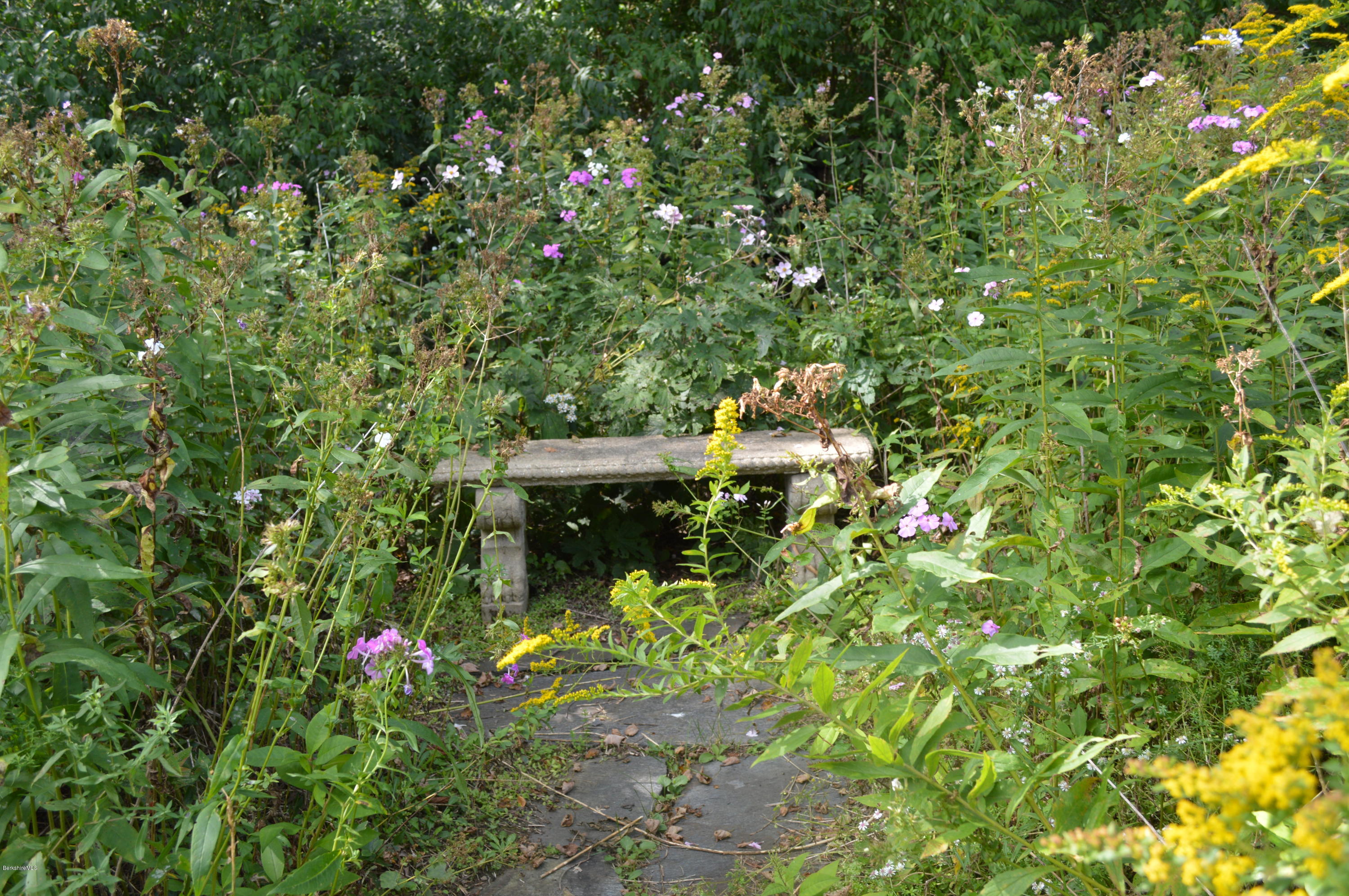 128 Chipman Road Middlefield, MA 01011 - Photo 17 of 61 Gardens