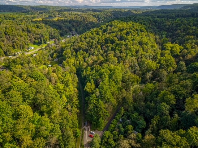 Hill Road Millport, NY 14864 - Photo 2 of 14 Gallery Image 2