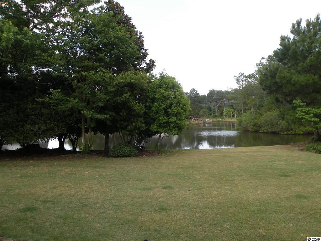 601 Hatteras River Road Myrtle Beach, SC 29588 - Photo 20 of 22 Gallery Image 20
