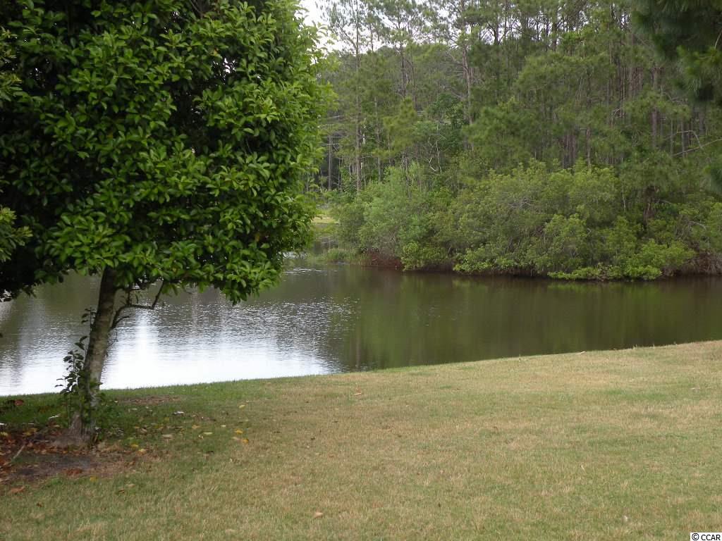 601 Hatteras River Road Myrtle Beach, SC 29588 - Photo 21 of 22 Gallery Image 21