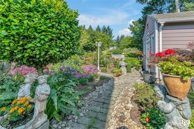 a small garden covered with lots of flower and flowers