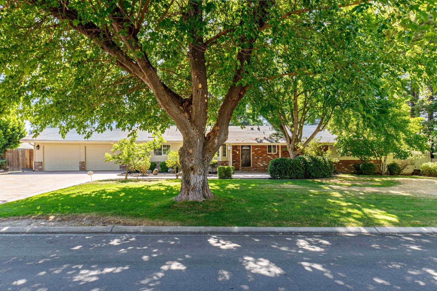 7017 Del Rio Drive Modesto, CA 95356 - Photo 1 of 1 a view of a garden with a tree