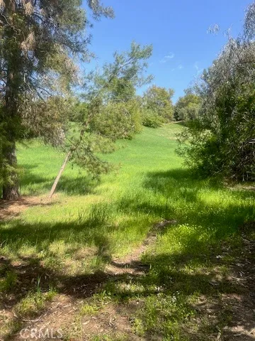 a view of a lush green space