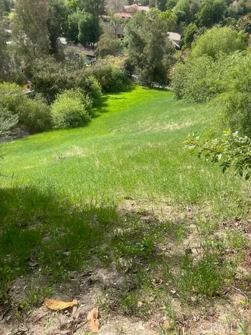 a view of yard with green space