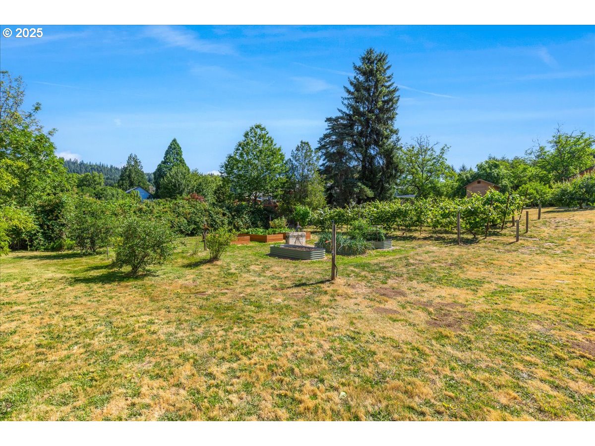 14955 Northeast Springbrook Road Newberg, OR 97132 - Photo 40 of 48 Garden