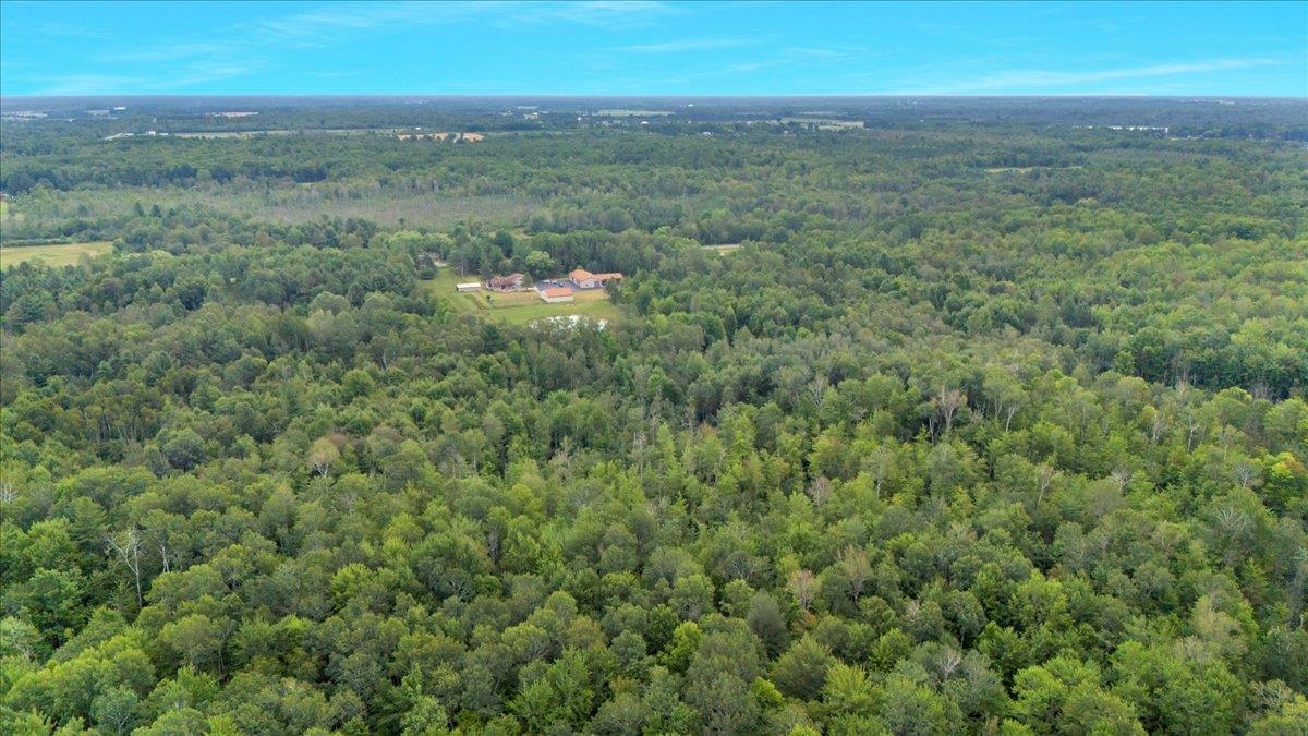 1369 East County Line Road Hale, MI 48739 - Photo 18 of 92