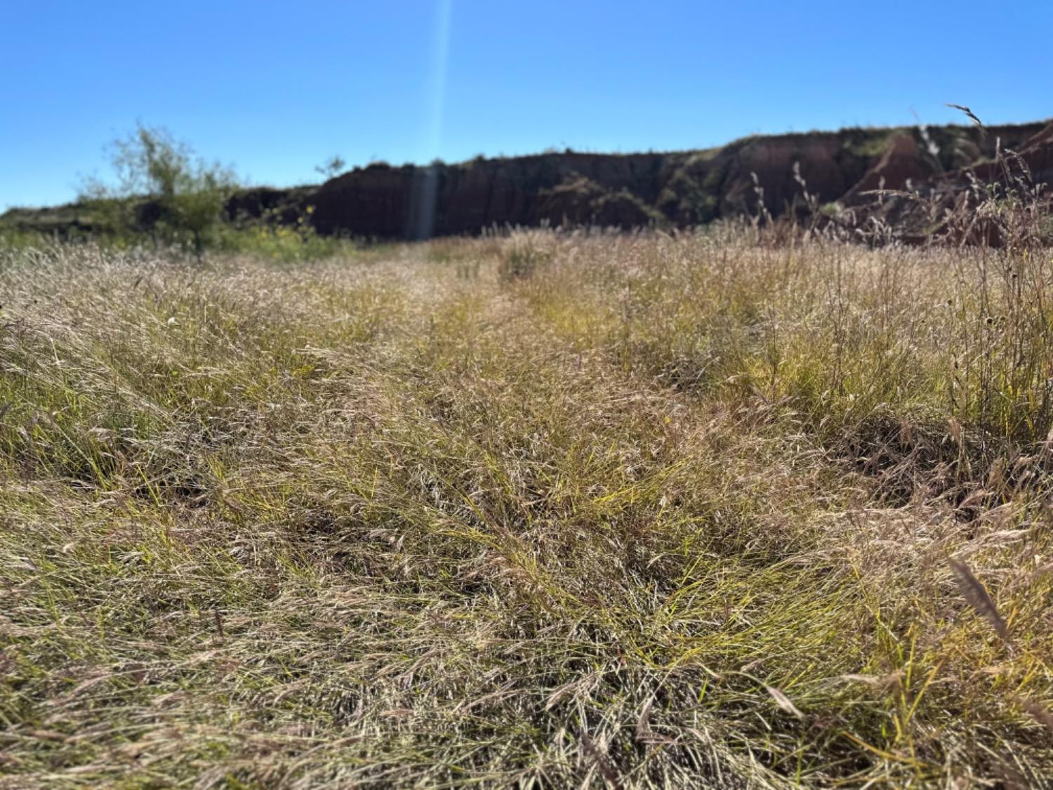 0 Fm 211 Post, TX 79356 - Photo 11 of 23 Photo 11