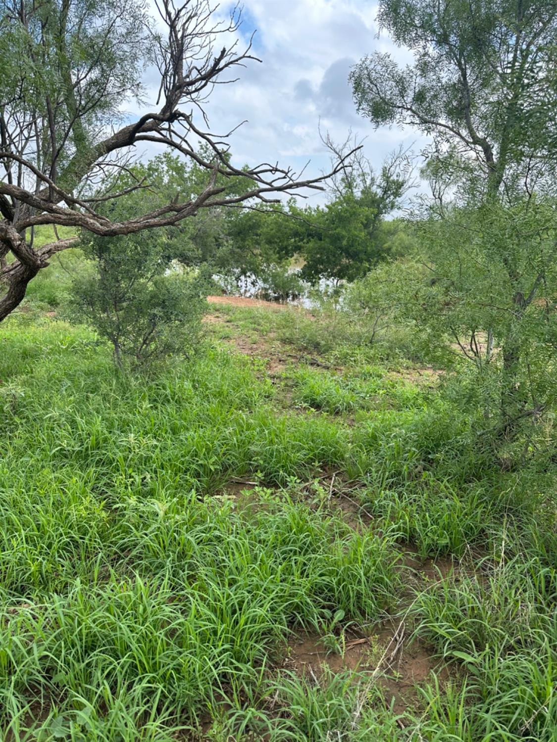 0 Fm 211 Post, TX 79356 - Photo 18 of 23 Photo 18