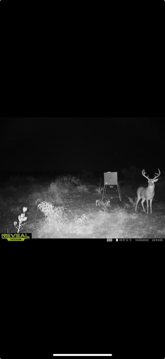 0 Fm 211 Post, TX 79356 - Photo 19 of 23 Photo 19