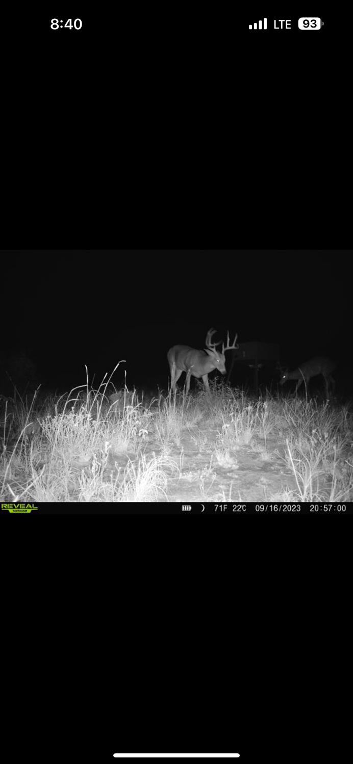 0 Fm 211 Post, TX 79356 - Photo 21 of 23 Photo 22