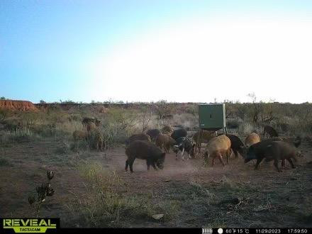 0 Fm 211 Post, TX 79356 - Photo 23 of 23 Photo 24