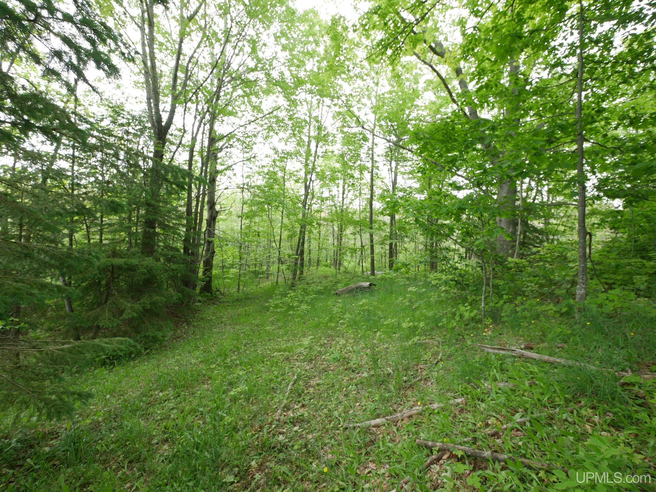 49382 Rauhala Road Atlantic Mine, MI 49905 - Photo 14 of 29 Gallery Image 14