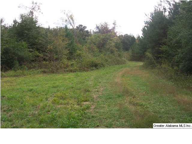 11 Highway Acs Al, Unit 40 Springville, AL 35146 - Photo 1 of 8