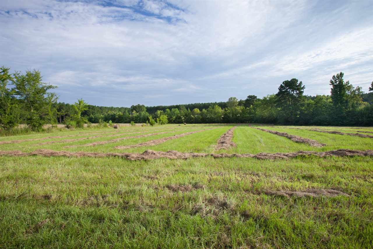 1014 B Shiloh Road Brandon, MS 39042 - Photo 1 of 2 Photo 1