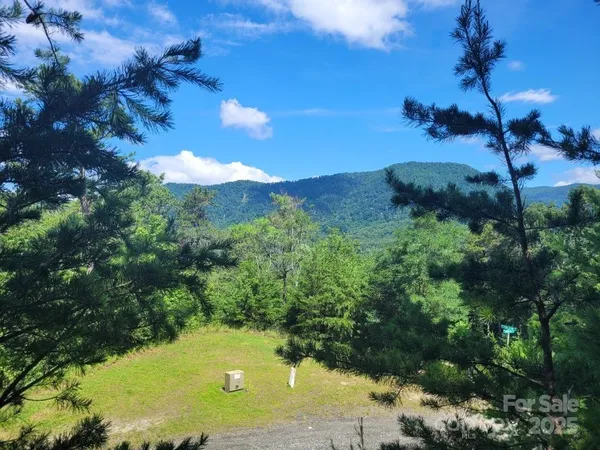 a view of a yard with a tree