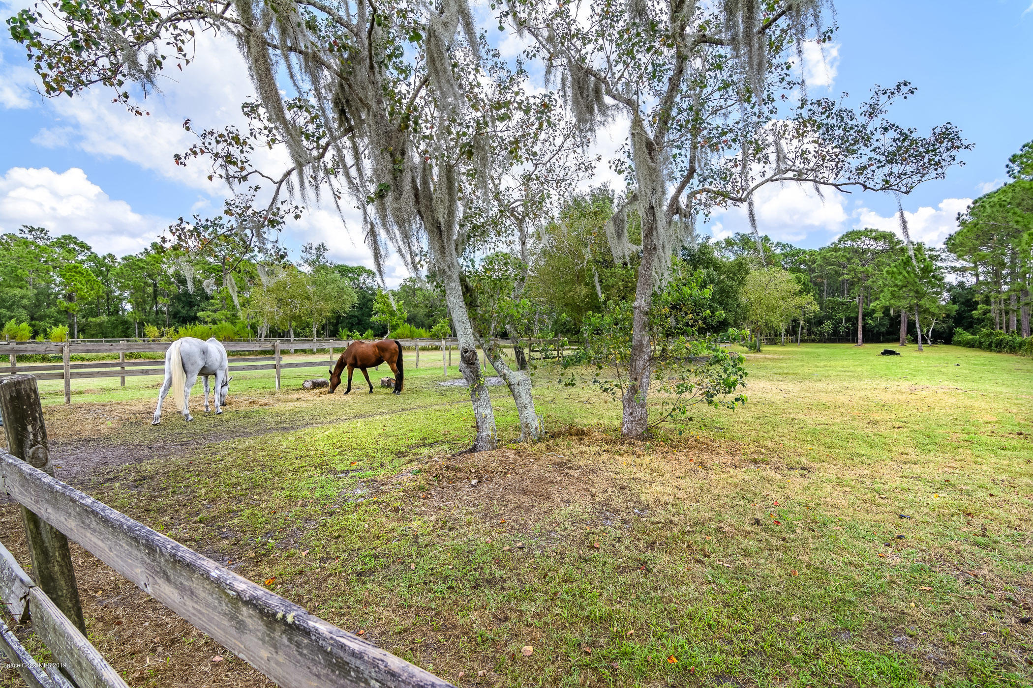 2160 Friday Road Cocoa, FL 32926 - Photo 5 of 73 Fenced Pasture