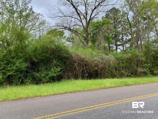 0 County Road 23 Castleberry, AL 36432 - Photo 2 of 2