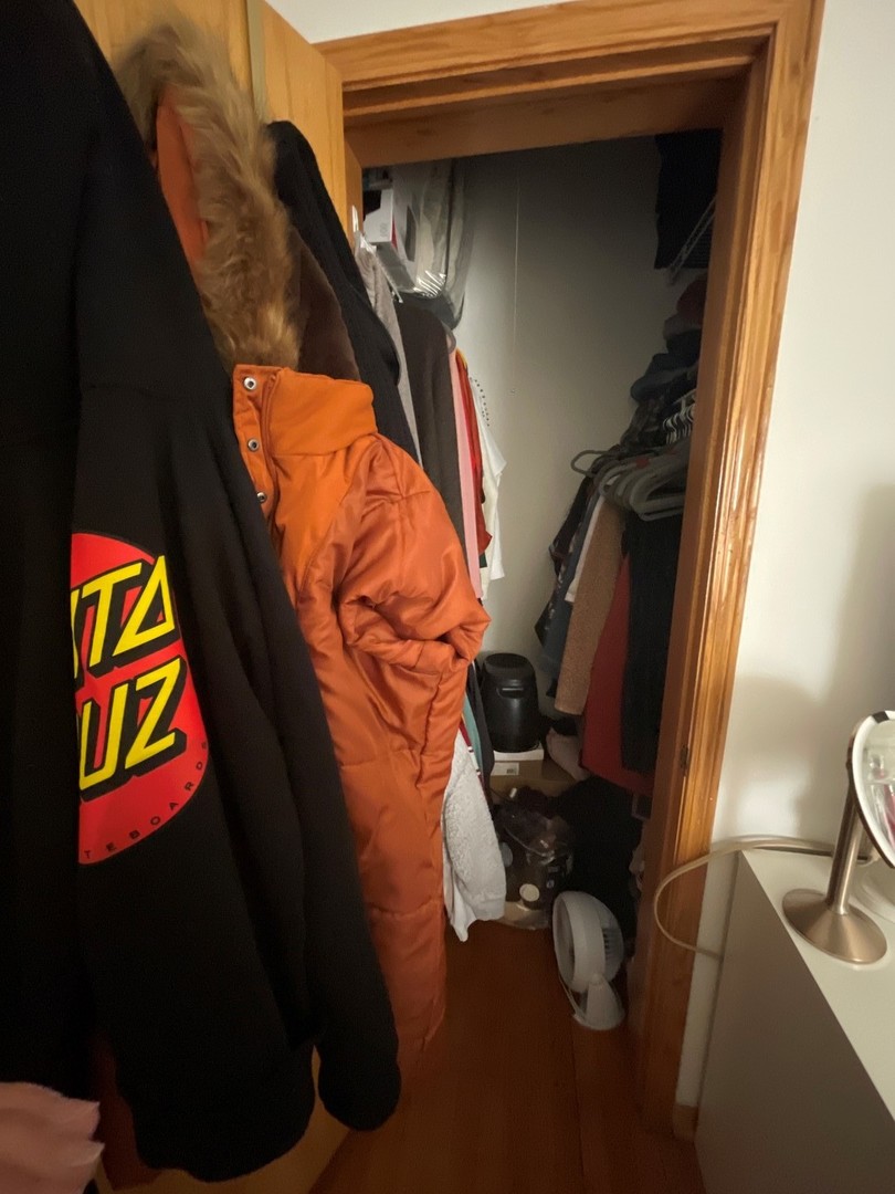 628 West Patterson Avenue, Unit 3S Chicago, IL 60613 - Photo 5 of 10 a view of walk in closet with clothes and shoes