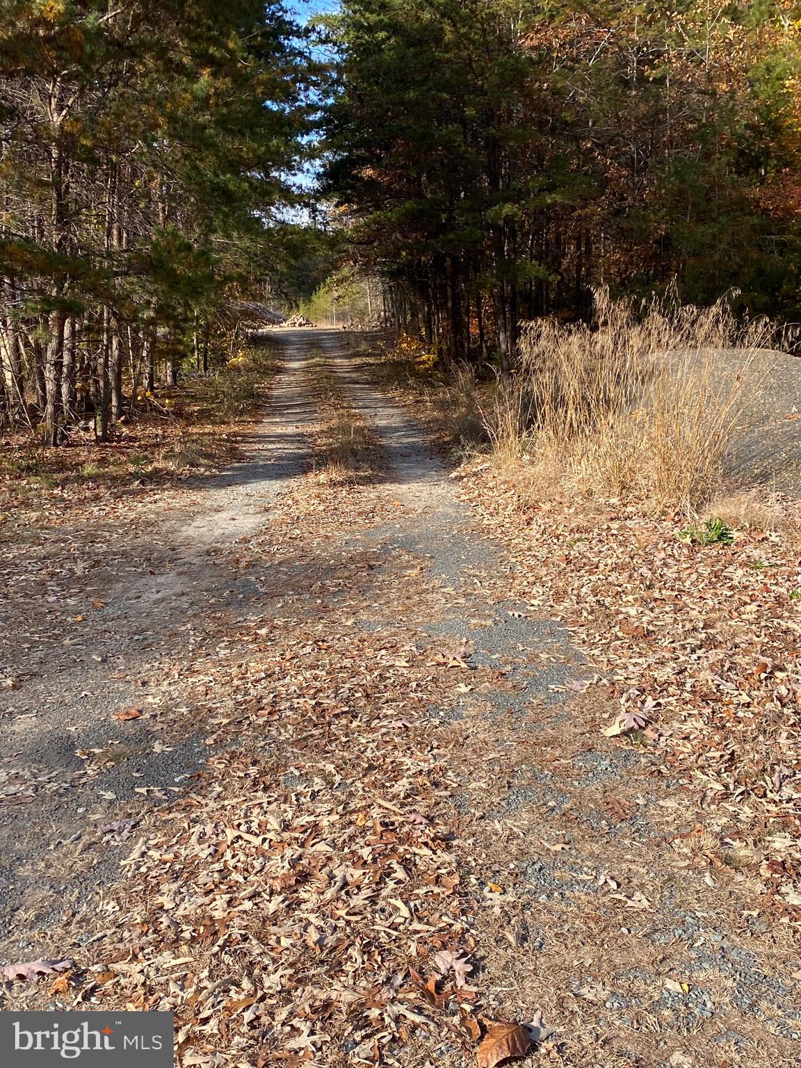 0 Courthouse Road Louisa, VA 23093 - Photo 1 of 3 Gallery Image 1