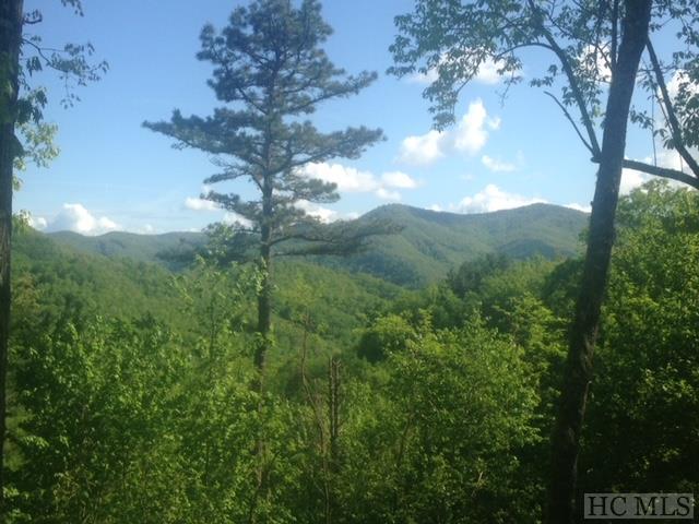 6023 Canada Road Tuckasegee, NC 28783 - Photo 3 of 33 Gallery Image 3