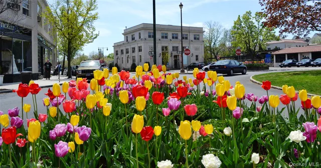a view of swimming pool with outdoor seating