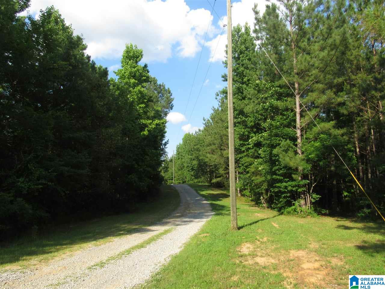 0 County Road 997, Unit 1 Clanton, AL 35045 - Photo 6 of 7