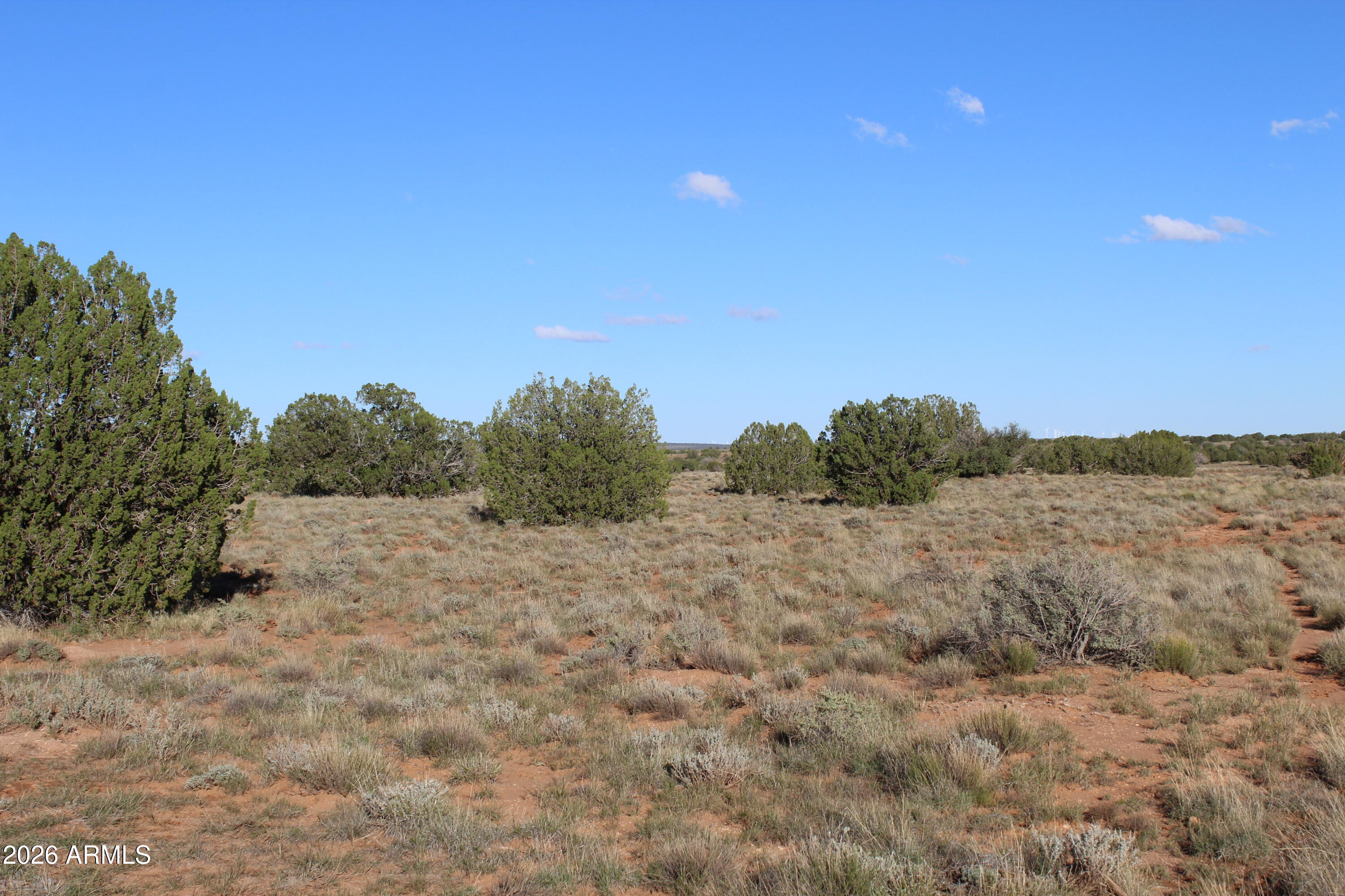 3 T14n R17e:se4 Heber, AZ 85928 - Photo 2 of 4 a view of a dry yard with trees in the background