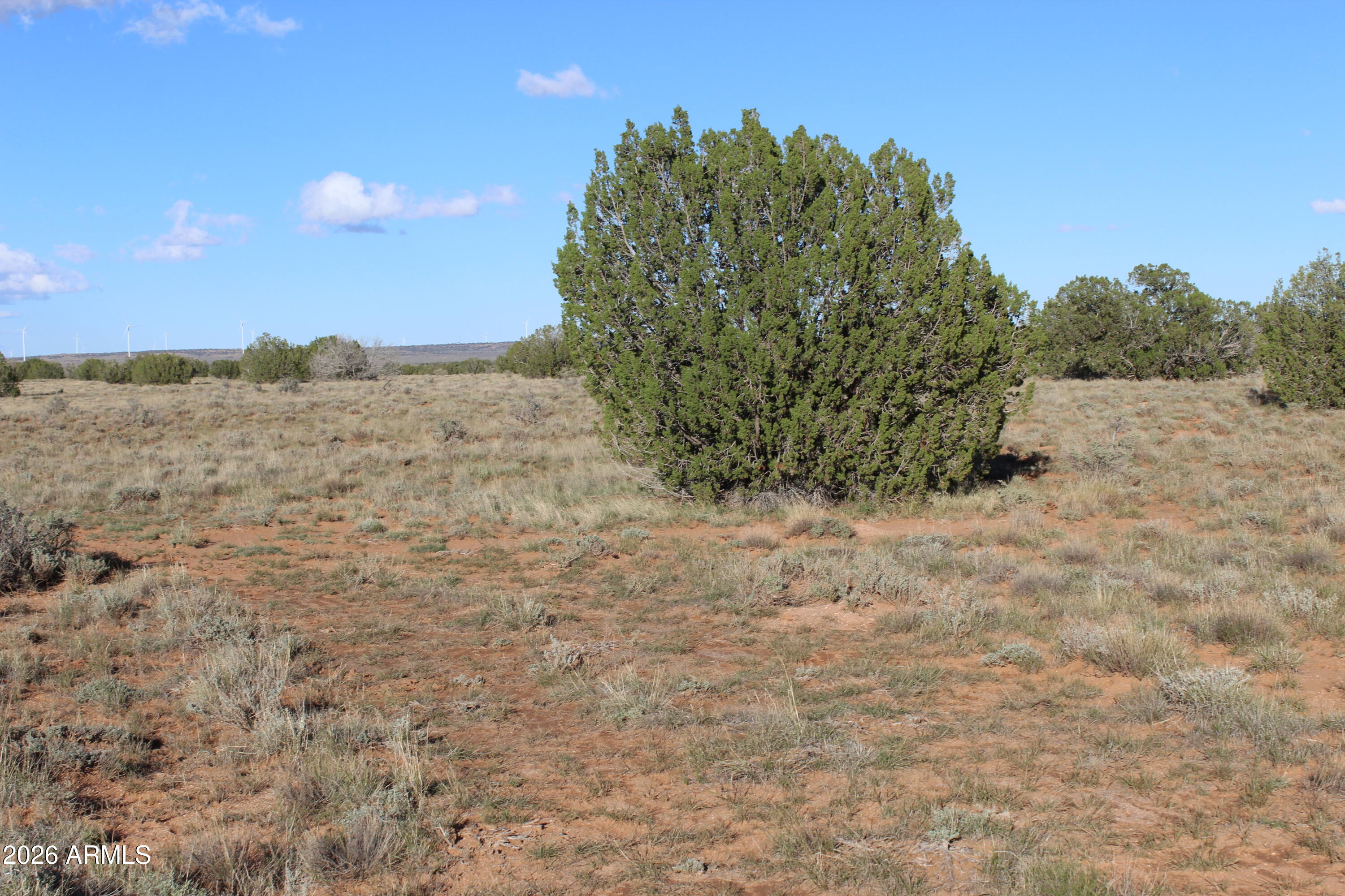 3 T14n R17e:se4 Heber, AZ 85928 - Photo 3 of 4 a view of a field