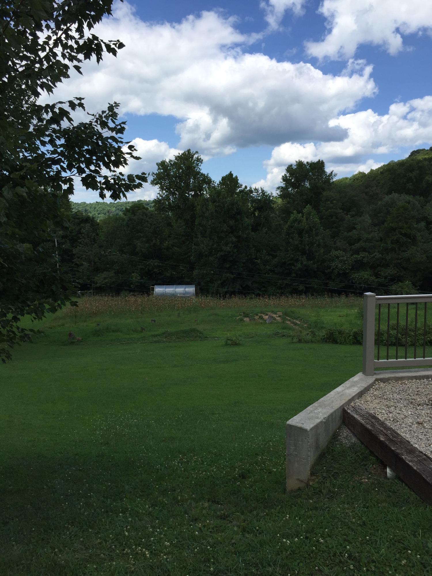 1502 Pine Top Road Bainbridge, OH 45612 - Photo 50 of 59